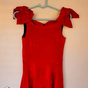 Local Brand Velvet Red Skirt